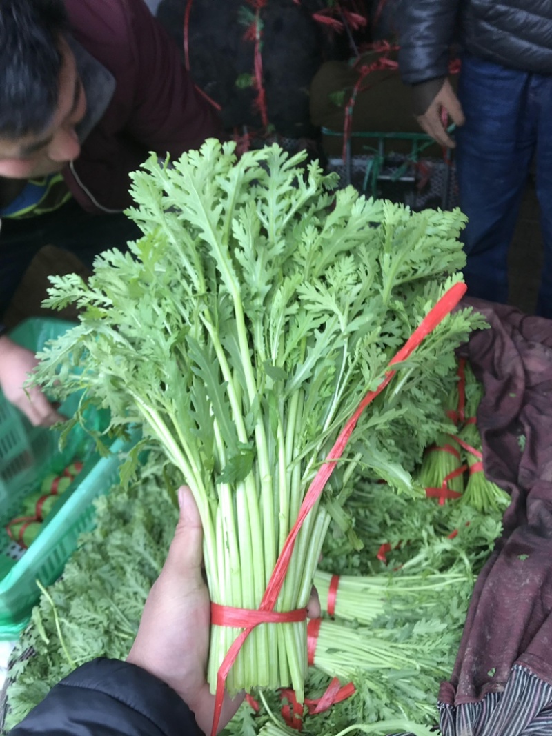 茼蒿菜，蒿子杆，毛把菜，实心光杆，质优价廉