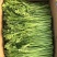 茼蒿菜，蒿子杆，毛把菜，实心光杆，质优价廉