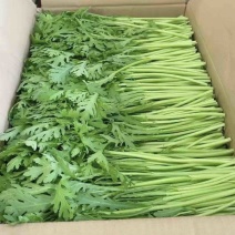茼蒿长伟书记助农团