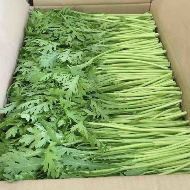 茼蒿长伟书记助农团