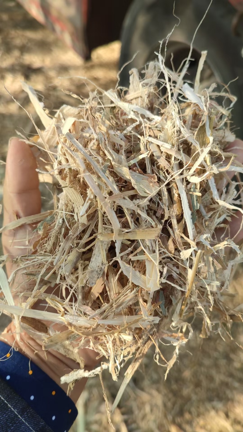南阳市揉丝过筛除尘过风选滚筒柔丝玉米杆草供应