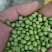 青豆,青豆芽苗菜专用货源充足量大从优诚信经营