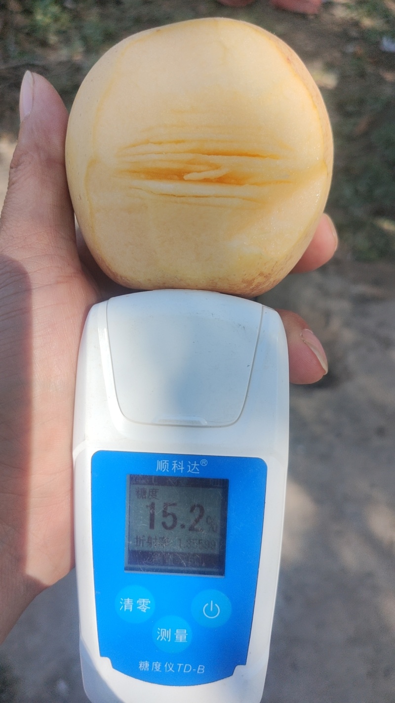黄金维纳斯