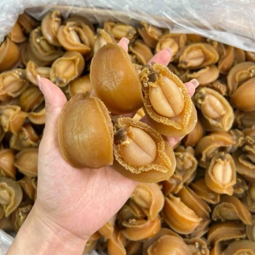 大连吉品鲍鱼14头