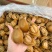大连吉品鲍鱼14头