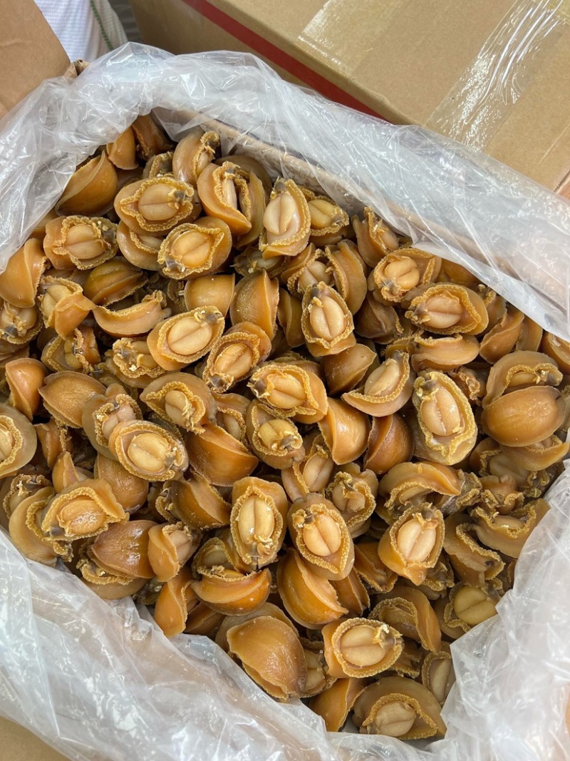大连吉品鲍鱼14头