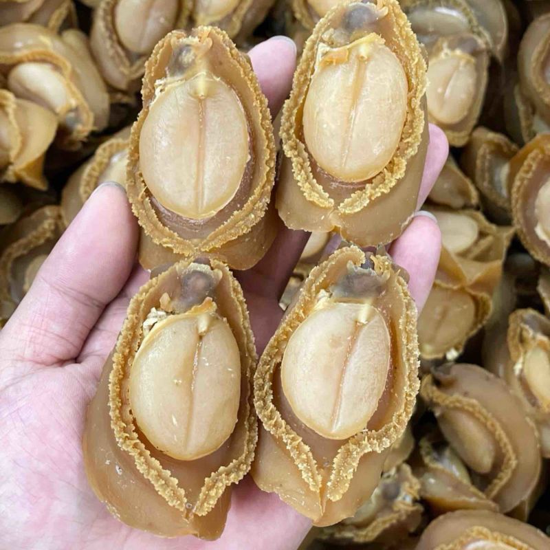 大连吉品鲍鱼10头