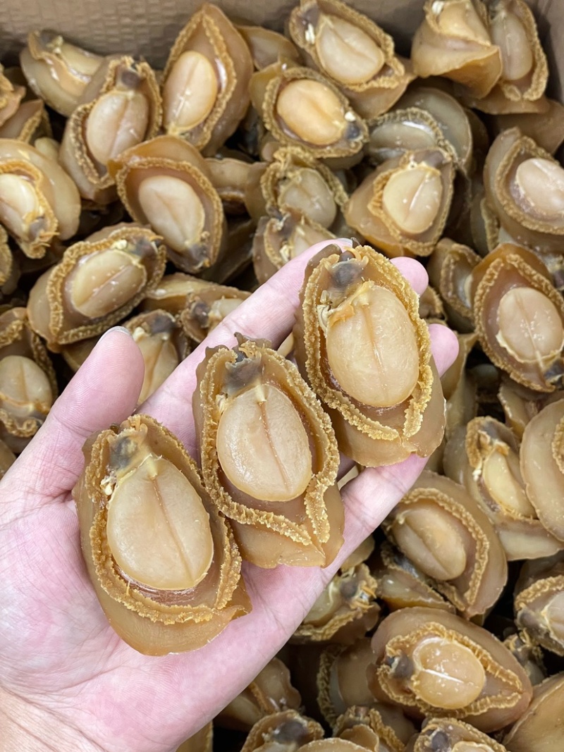 大连吉品鲍鱼10头