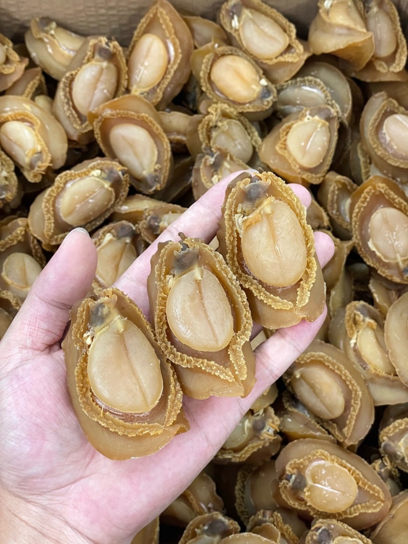 大连吉品鲍鱼10头