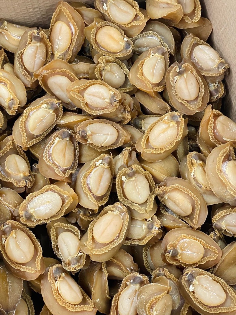 大连吉品鲍鱼10头