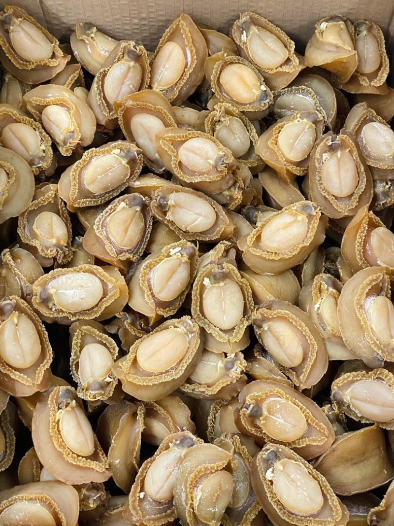 大连吉品鲍鱼10头