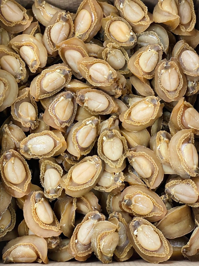 大连吉品鲍鱼10头