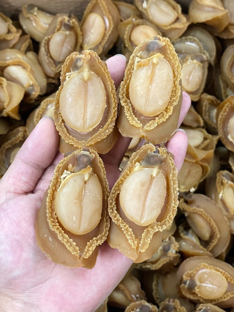 大连吉品鲍鱼10头