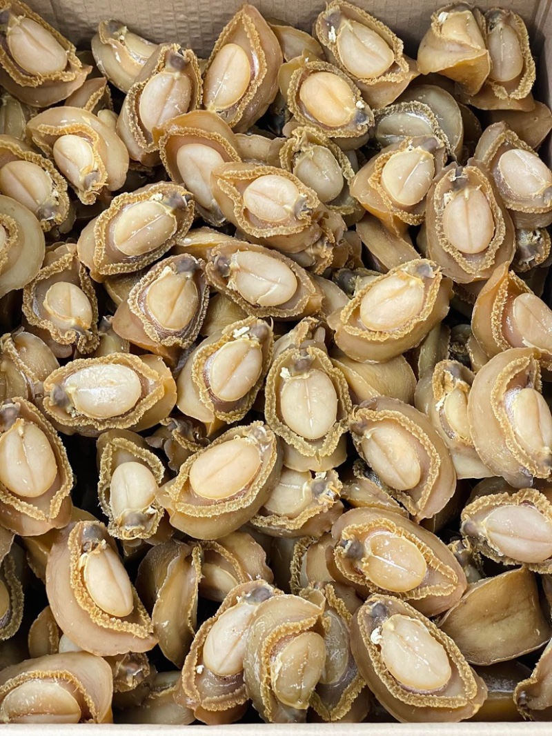 大连吉品鲍鱼10头