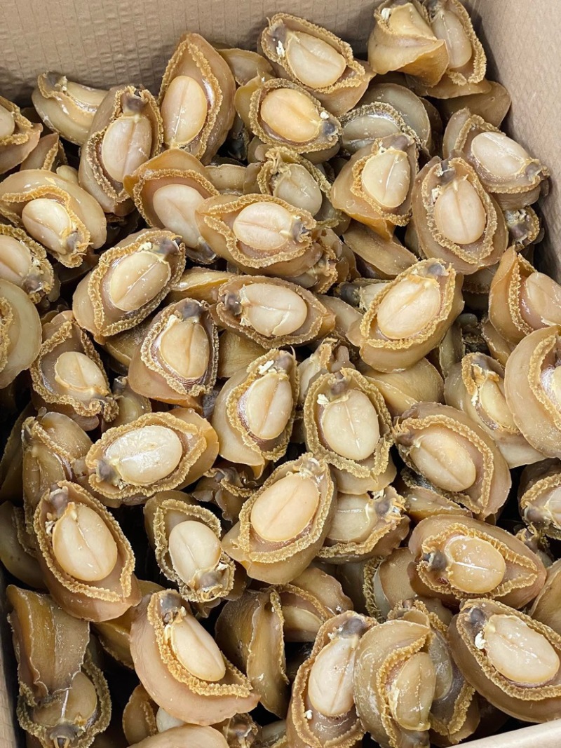 大连吉品鲍鱼10头