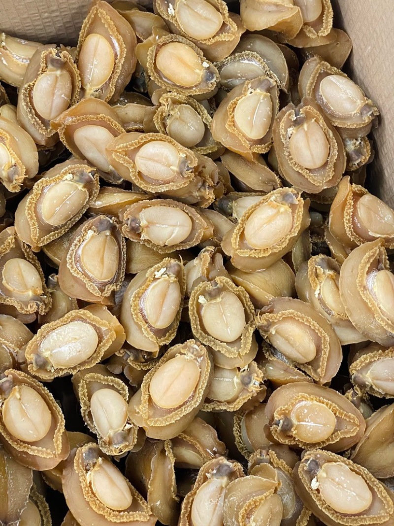 大连吉品鲍鱼10头