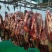 牦牛肉牛肉都是大草原上吃草长大的