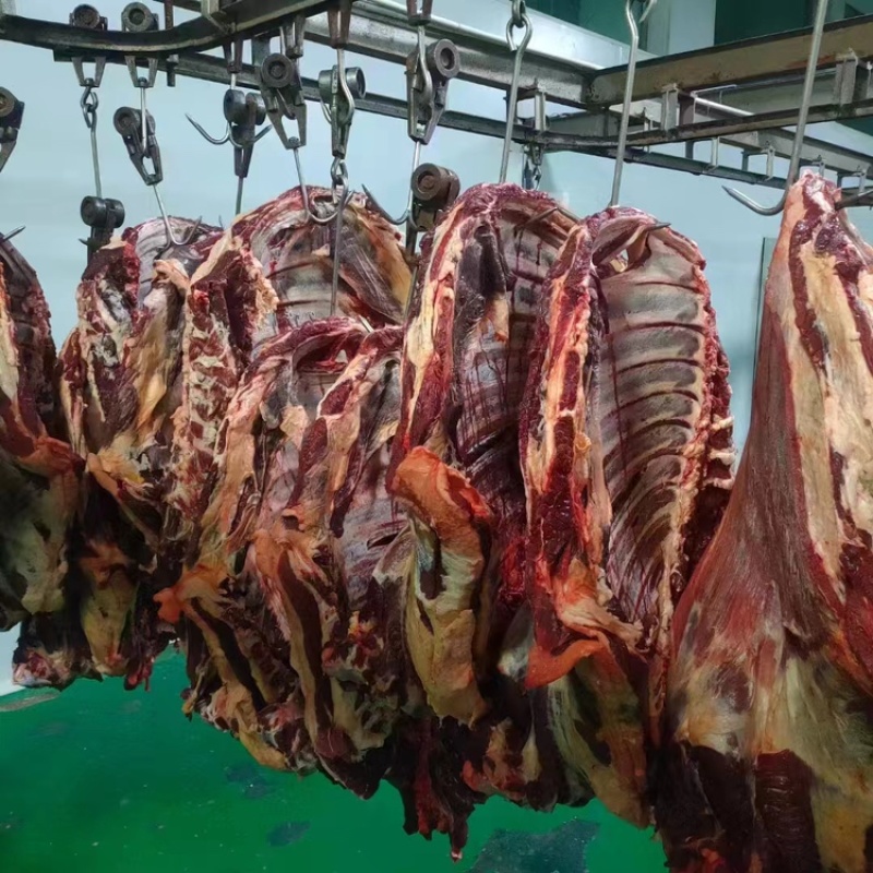 牦牛肉牛肉都是大草原上吃草长大的