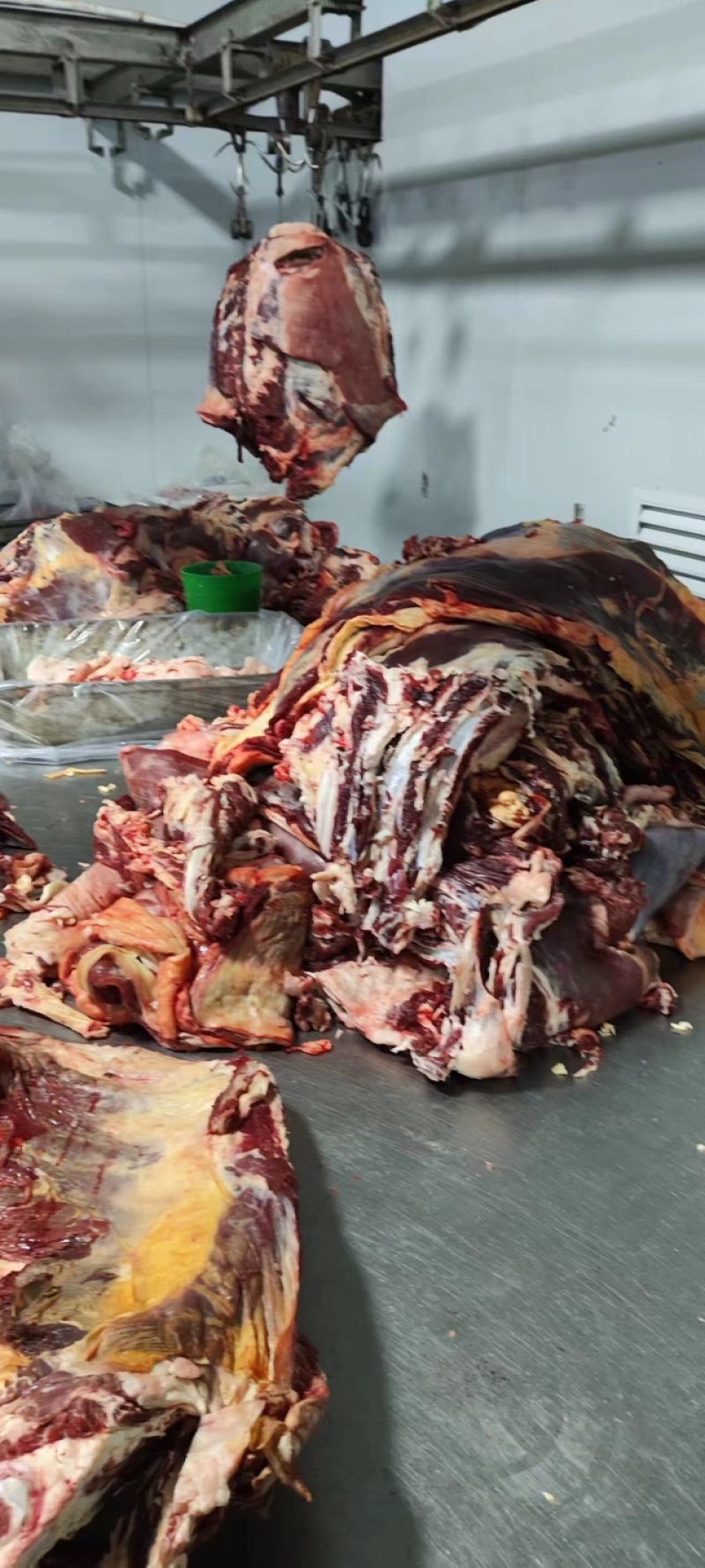 牦牛肉牛肉都是大草原上吃草长大的