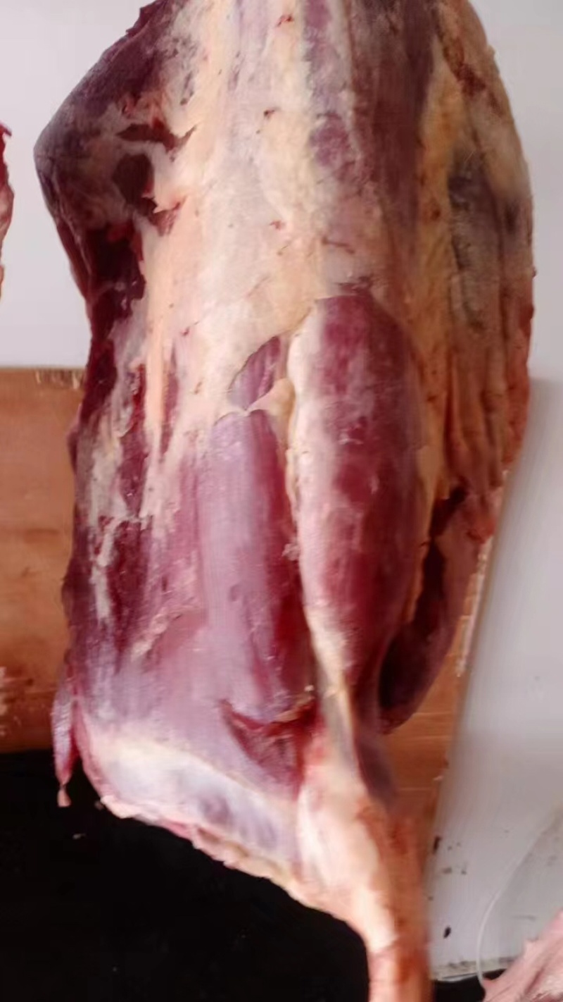 牦牛肉牛肉都是大草原上吃草长大的