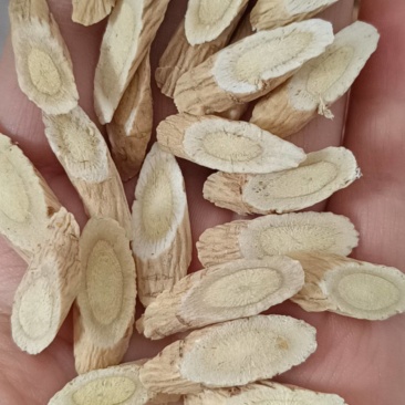 黄芪，甘肃黄芪，甘肃小瓜子片黄芪，产地一手货源