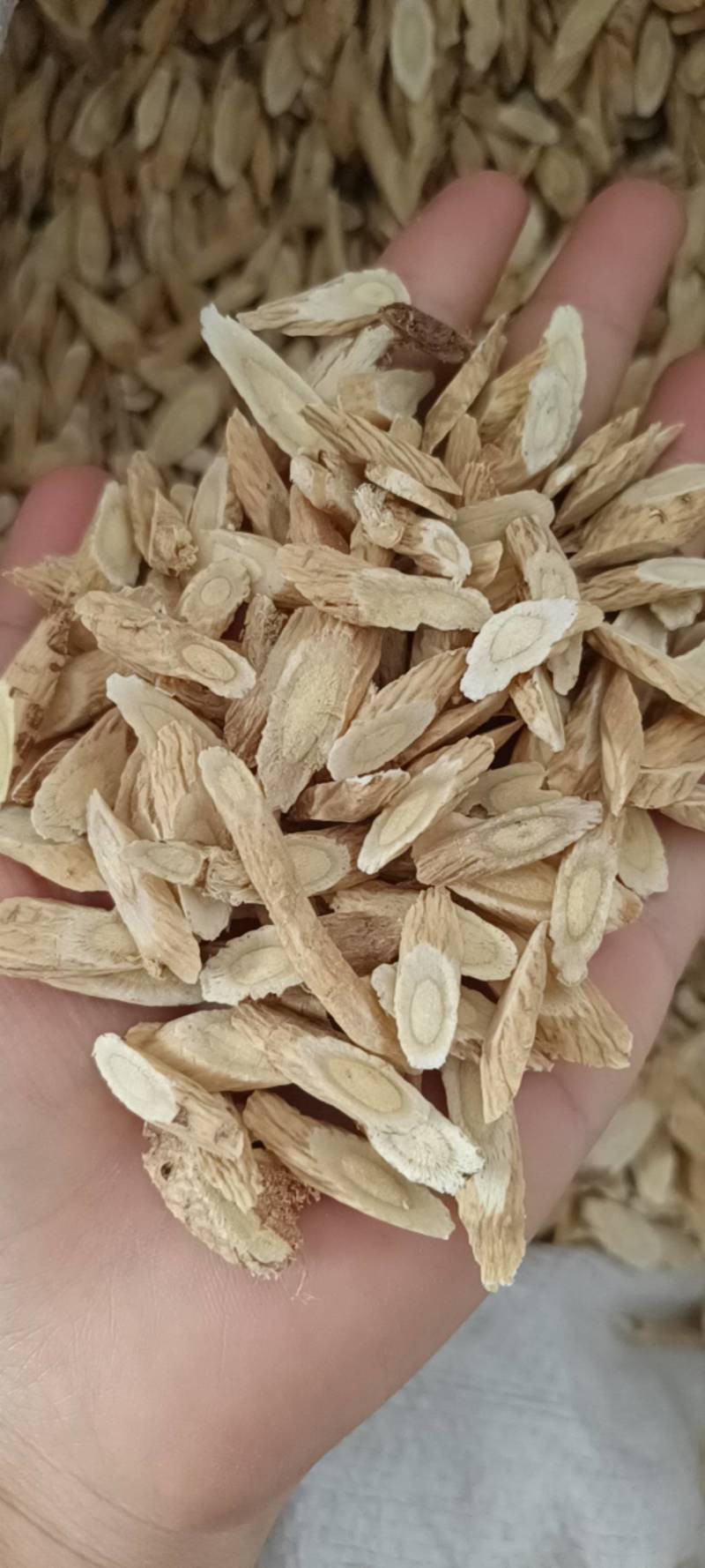 黄芪，甘肃黄芪，甘肃小瓜子片黄芪，产地一手货源