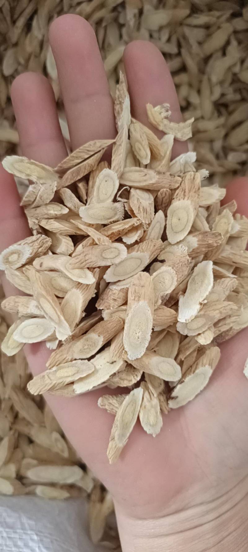 黄芪，甘肃黄芪，甘肃小瓜子片黄芪，产地一手货源