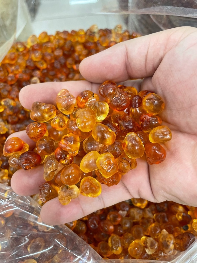 珍珠桃胶