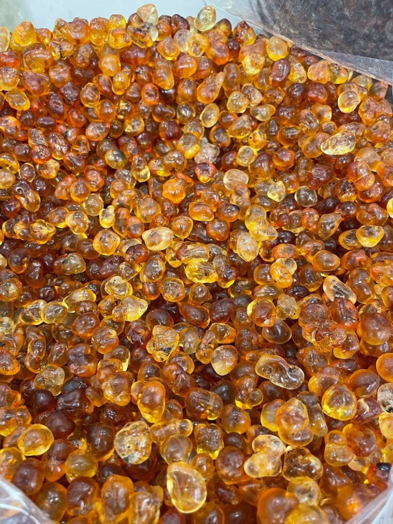 珍珠桃胶