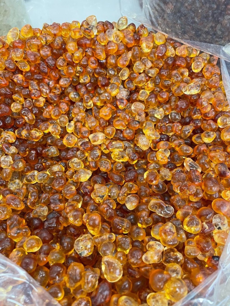 珍珠桃胶