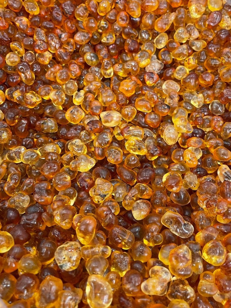 珍珠桃胶