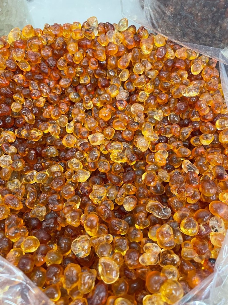 珍珠桃胶