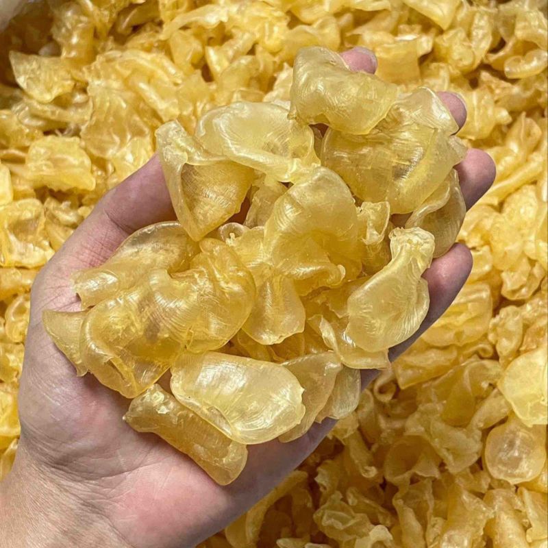 珍珠鱼胶花胶200头