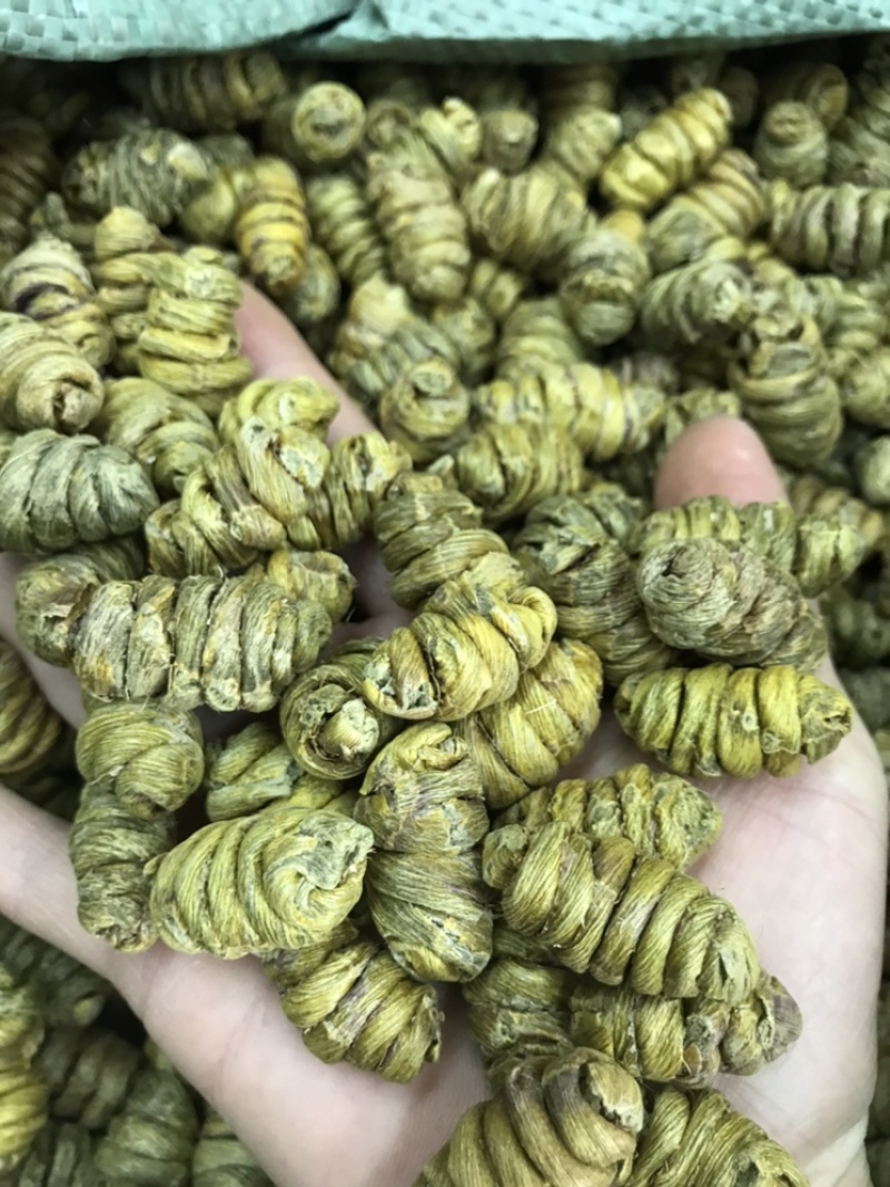 精选铁皮石斛枫斗颗粒切片干条非霍山铁皮石斛粉直接冲水喝