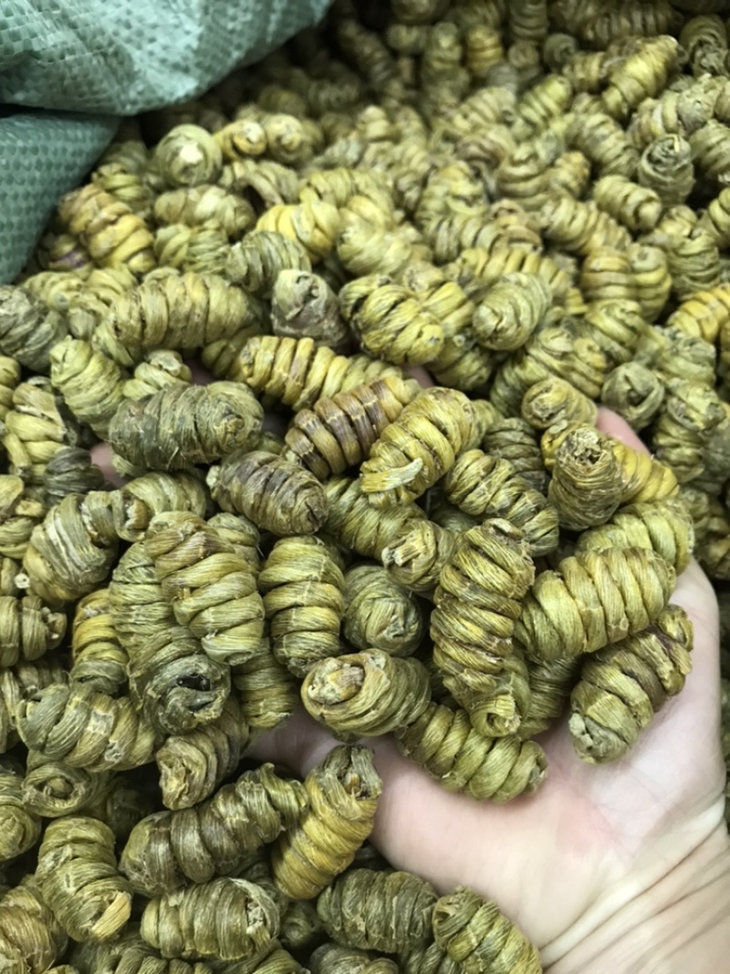 精选铁皮石斛枫斗颗粒切片干条非霍山铁皮石斛粉直接冲水喝