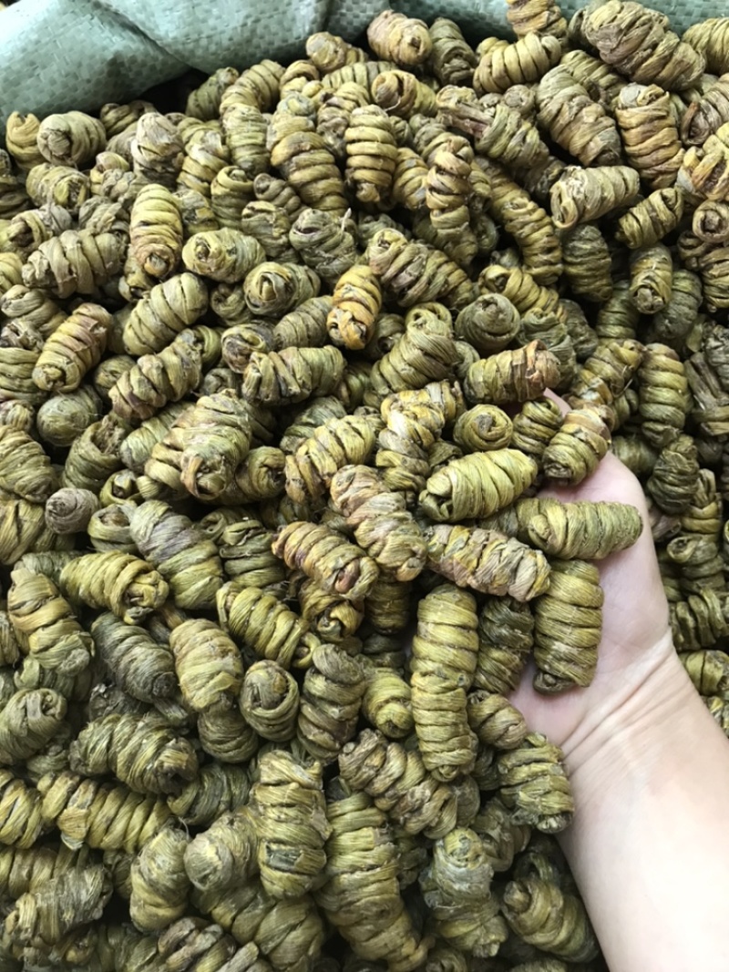 精选铁皮石斛枫斗颗粒切片干条非霍山铁皮石斛粉直接冲水喝