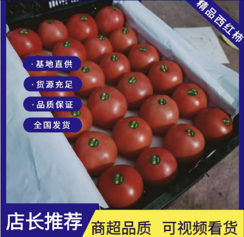 【今日推荐】河北硬粉西红柿，视频看货量大从优对接全国