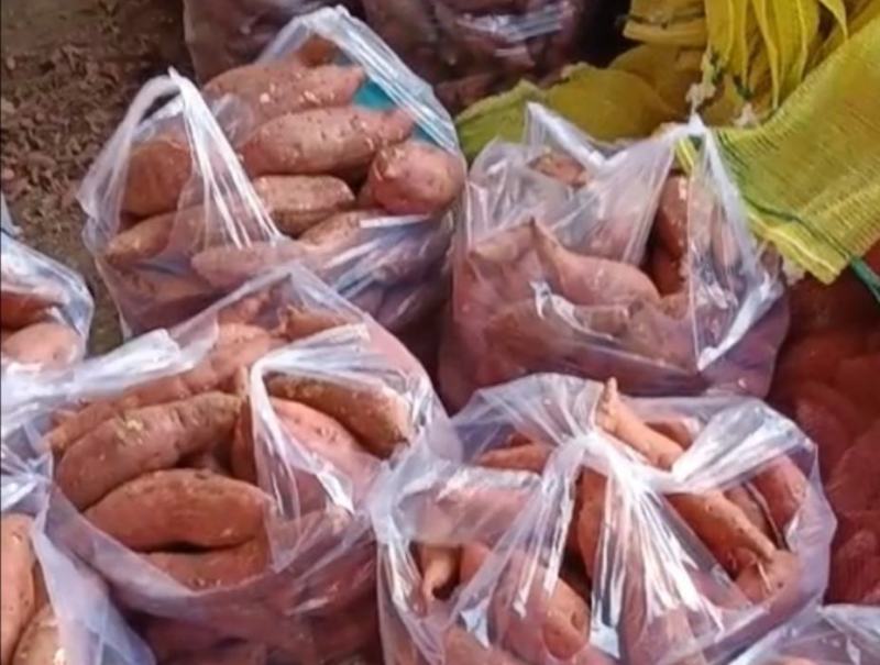 【红薯】湖北精品板栗薯一手货源可视频看货欢迎咨询