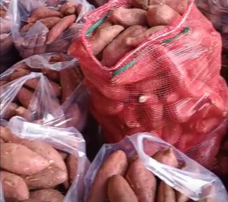 【红薯】湖北精品板栗薯一手货源可视频看货欢迎咨询