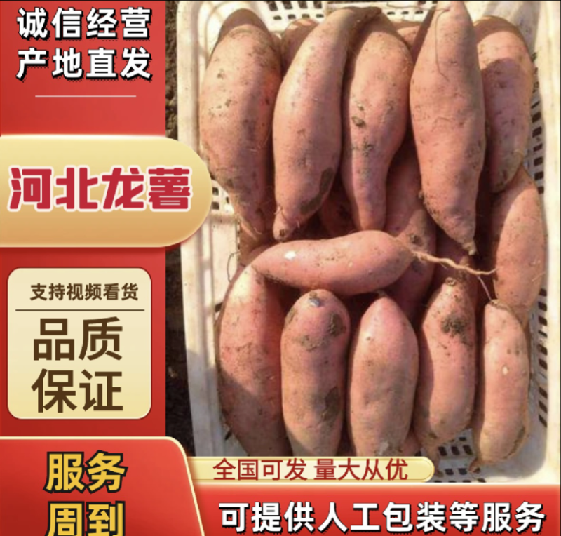 【推荐】河北龙薯可视频看货产地直发对接全国电商品质保证