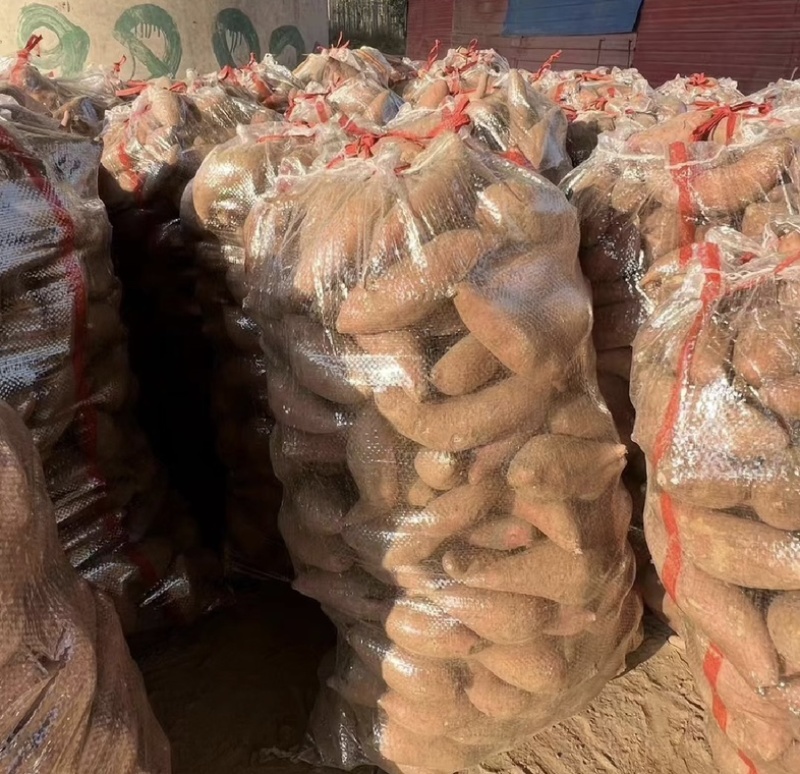 【推荐】河北龙薯可视频看货产地直发对接全国电商品质保证