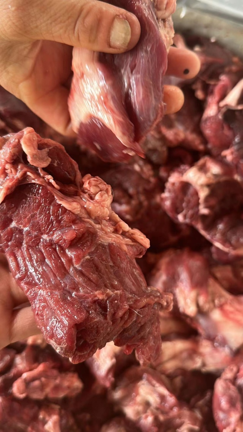 牛叉肉产地直发，欢迎来电