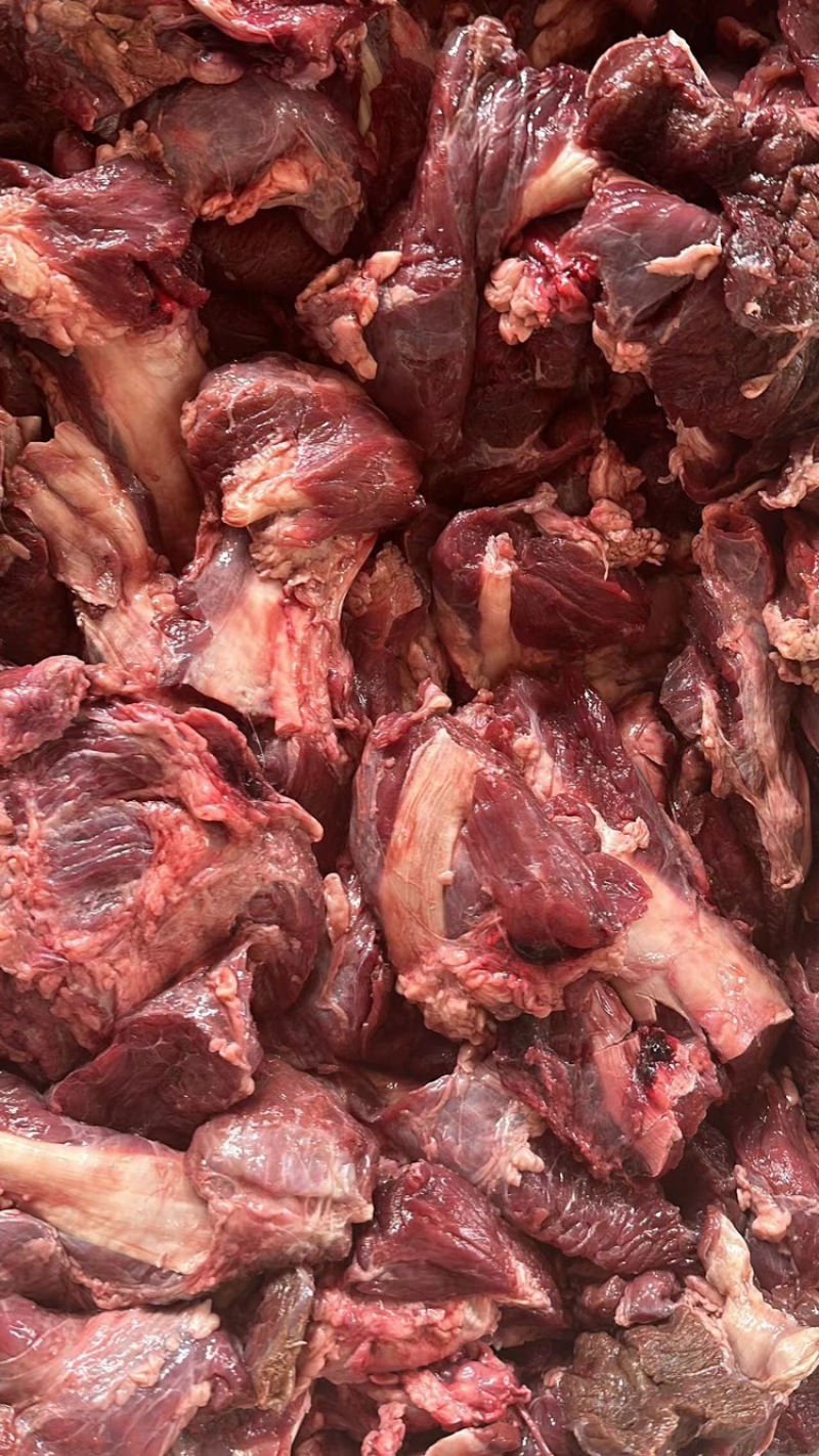 牛叉肉产地直发，欢迎来电