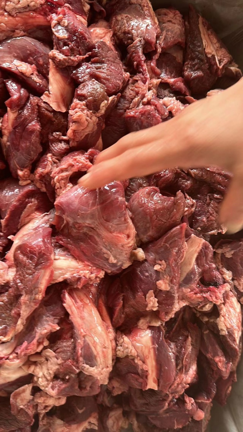 牛叉肉产地直发，欢迎来电