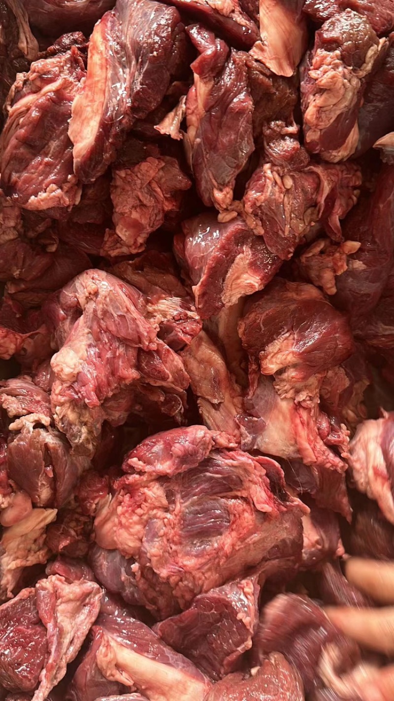 牛叉肉产地直发，欢迎来电