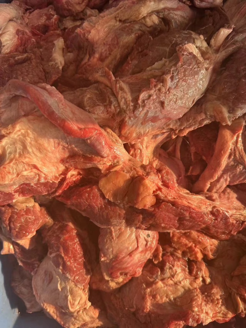 牛后巴肉可视频看货，欢迎来电咨询