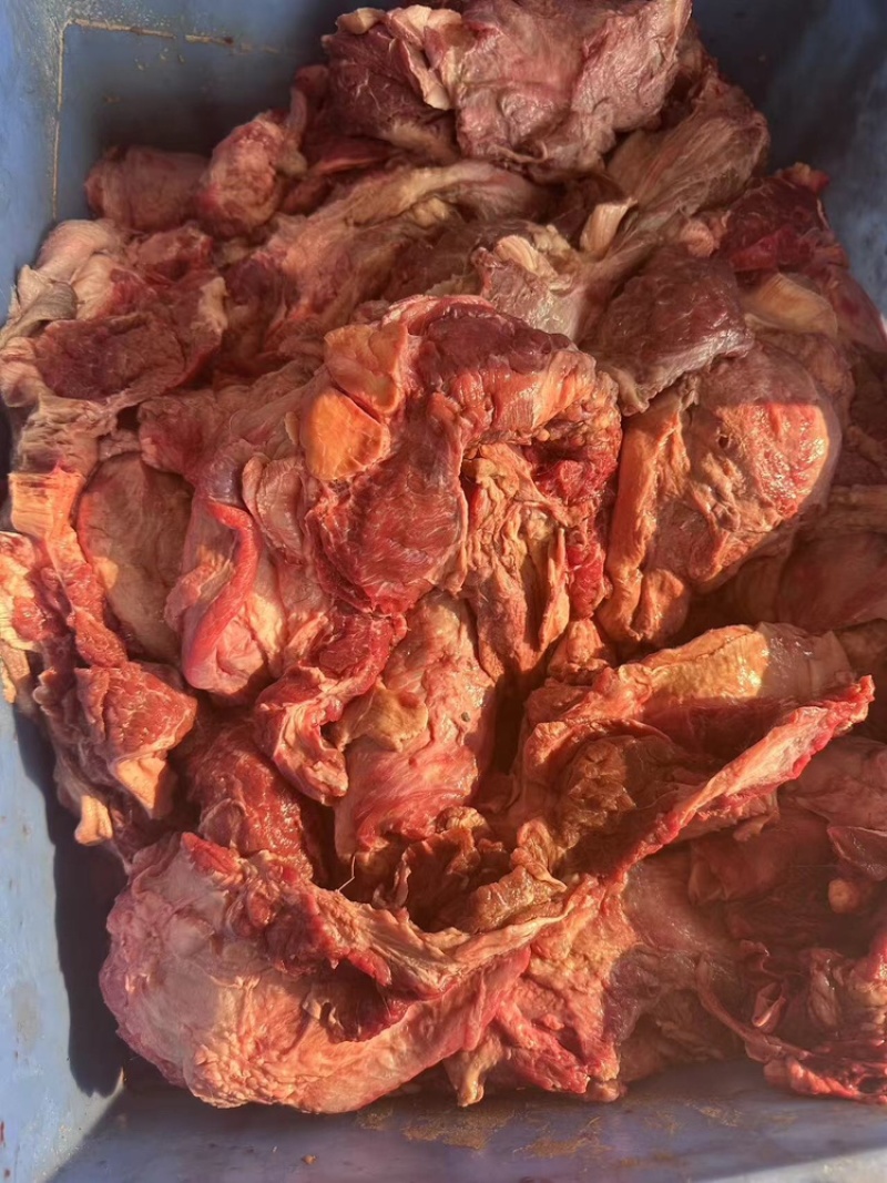 牛后巴肉可视频看货，欢迎来电咨询