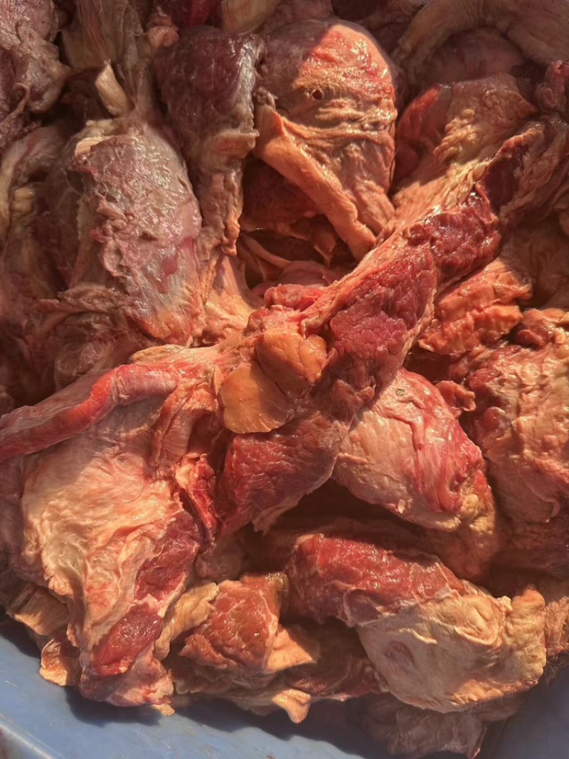 牛后巴肉可视频看货，欢迎来电咨询