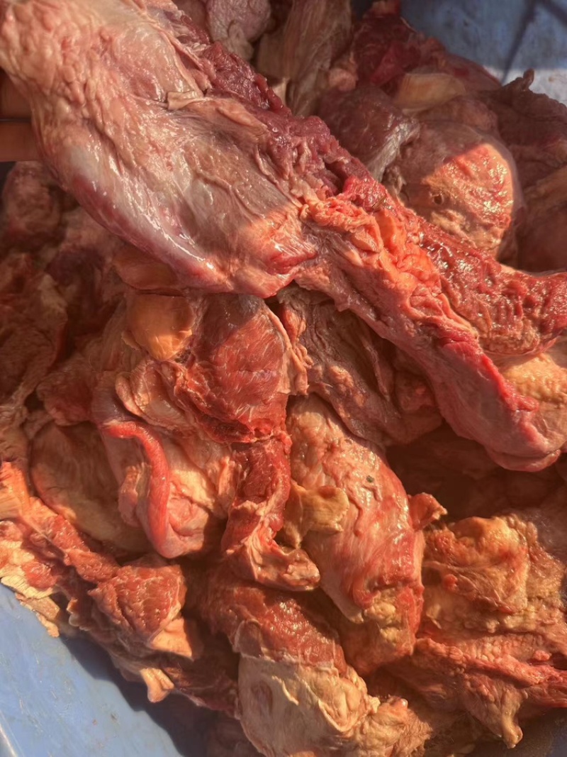牛后巴肉可视频看货，欢迎来电咨询