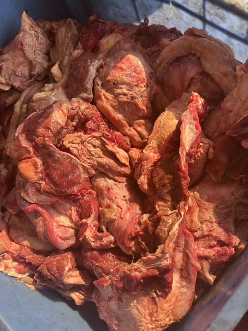 牛后巴肉可视频看货，欢迎来电咨询